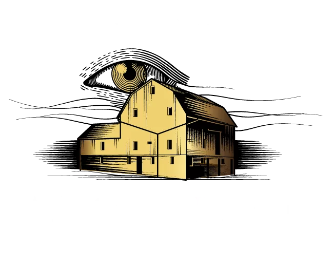 Watchful Eye